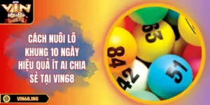 Cách nuôi lô khung 10 ngày hiệu quả ít ai chia sẻ tại Vin68
